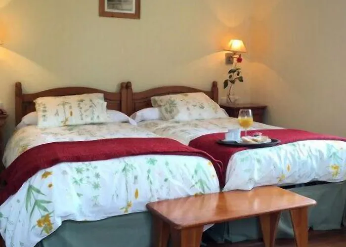 Buenavista San Sebastian