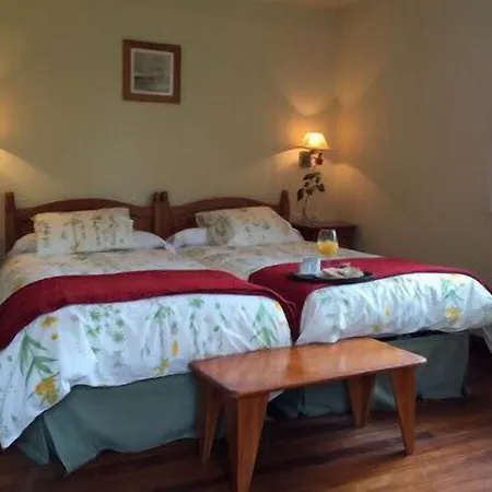 Buenavista San Sebastian 3*